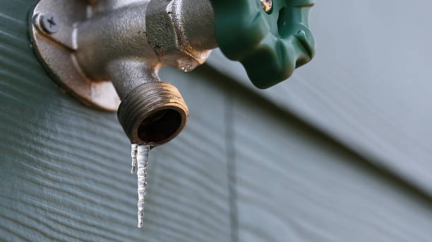 Best Plumbing Inspection Services  in Arthur, IL